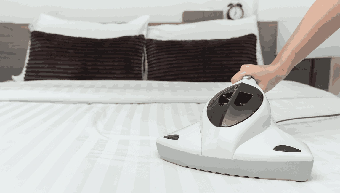 Professional Mattress Cleaning Redan